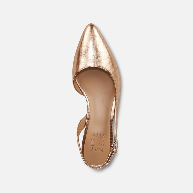 Naturalizer Women's Banks Pointed Toe Flat - Champagne Leather